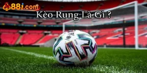 Thể Thao 88i – Danh Mục Cá Cược Thể Thao Chuyên Sâu Hàng Đầu - Luckglow88