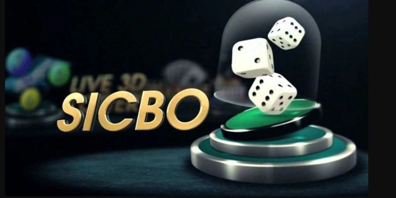 Cách Lắc Xí Ngầu Online 88i: Hướng Dẫn Cho Người Chơi - Luckglow88